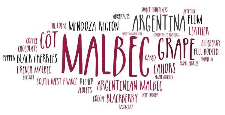 A wordart bubble with significant words relating to the Malbec grape and its wines